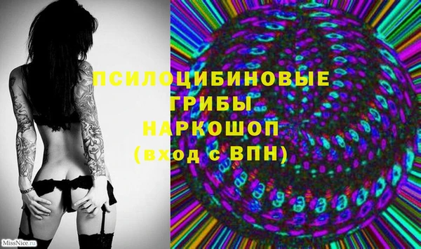 стафф Касимов
