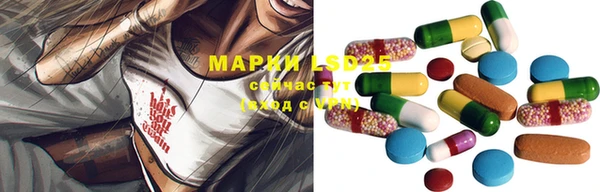 стафф Касимов