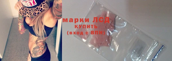 стафф Касимов