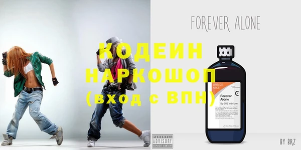 стафф Касимов
