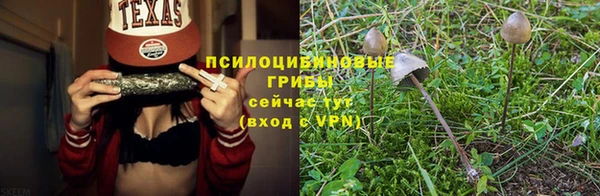 стафф Касимов