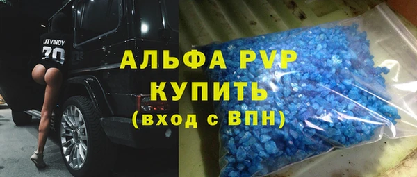 стафф Касимов