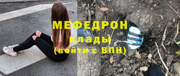 стафф Касимов