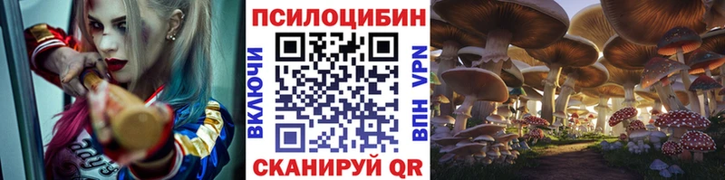 Галлюциногенные грибы прущие грибы  Купить закладки  Верхоянск 